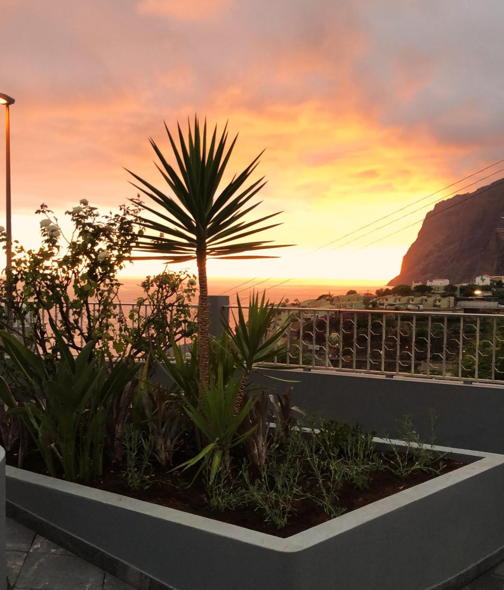 Oasis Suites - Funchal Dış mekan fotoğraf