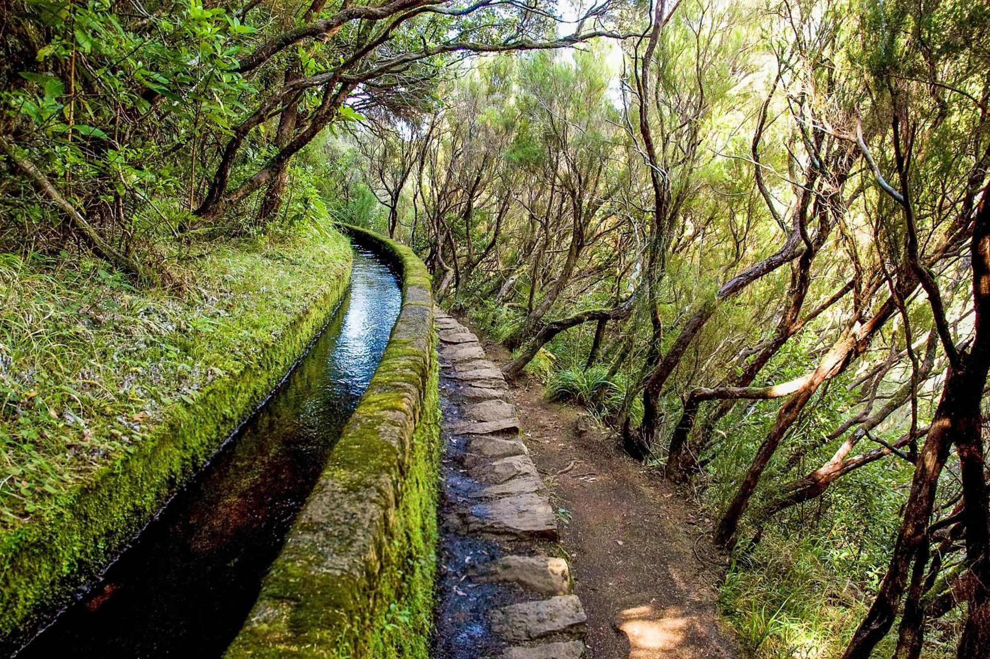 Oasis Suites - Funchal Dış mekan fotoğraf